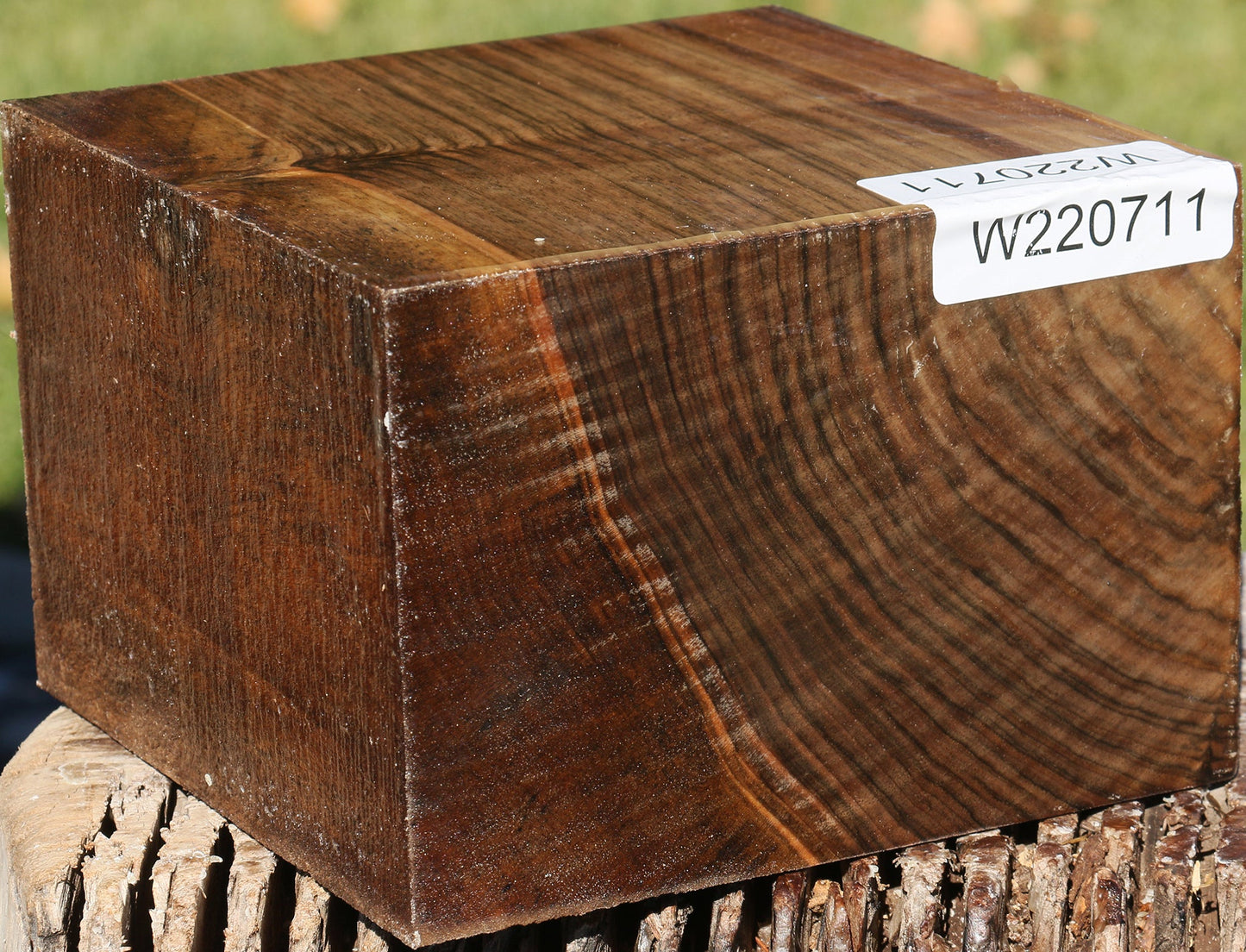 Extra Fancy English Walnut Bowl Blank