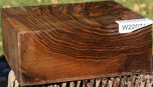 Extra Fancy English Walnut Bowl Blank