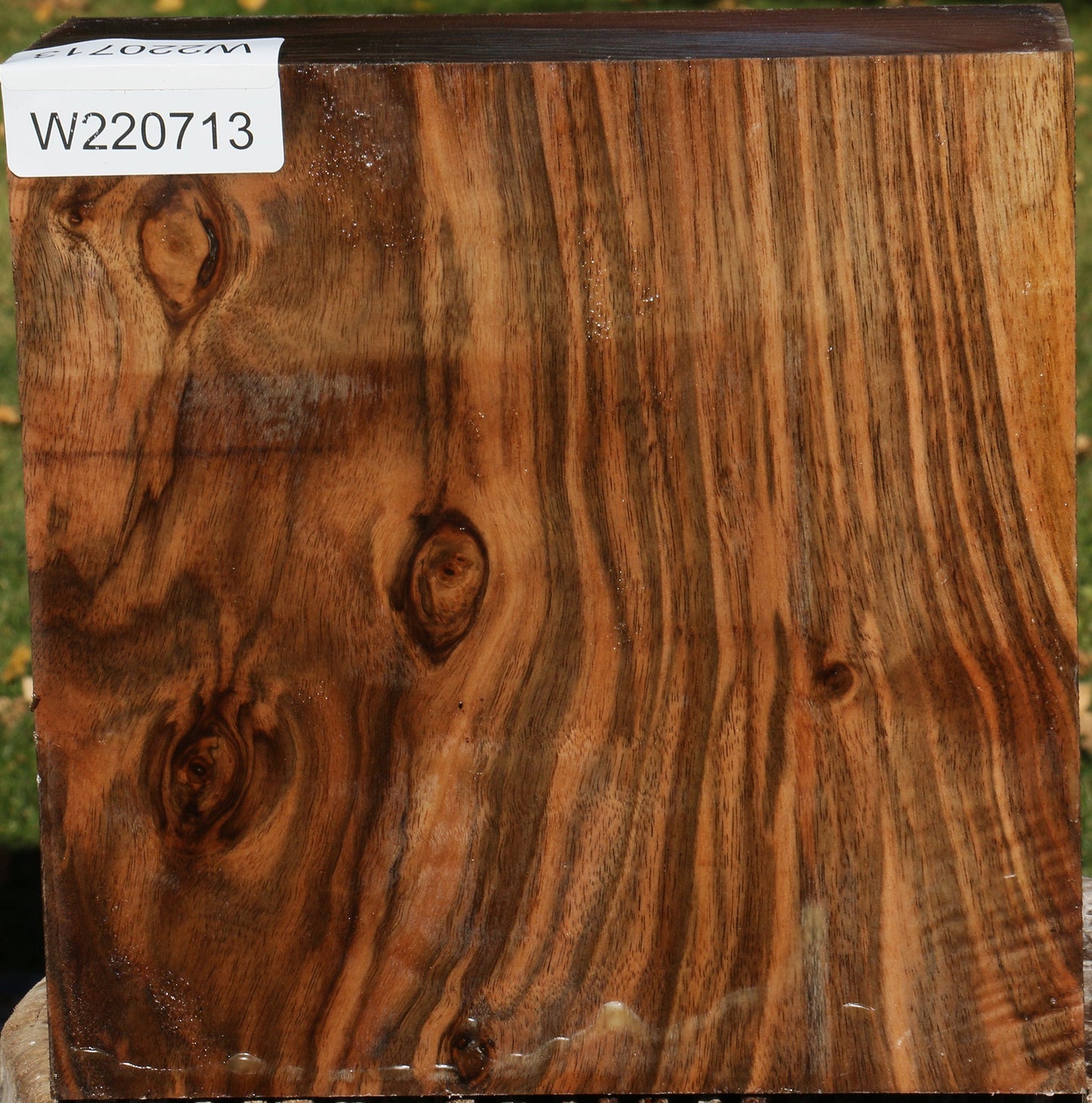 Extra Fancy English Walnut Bowl Blank