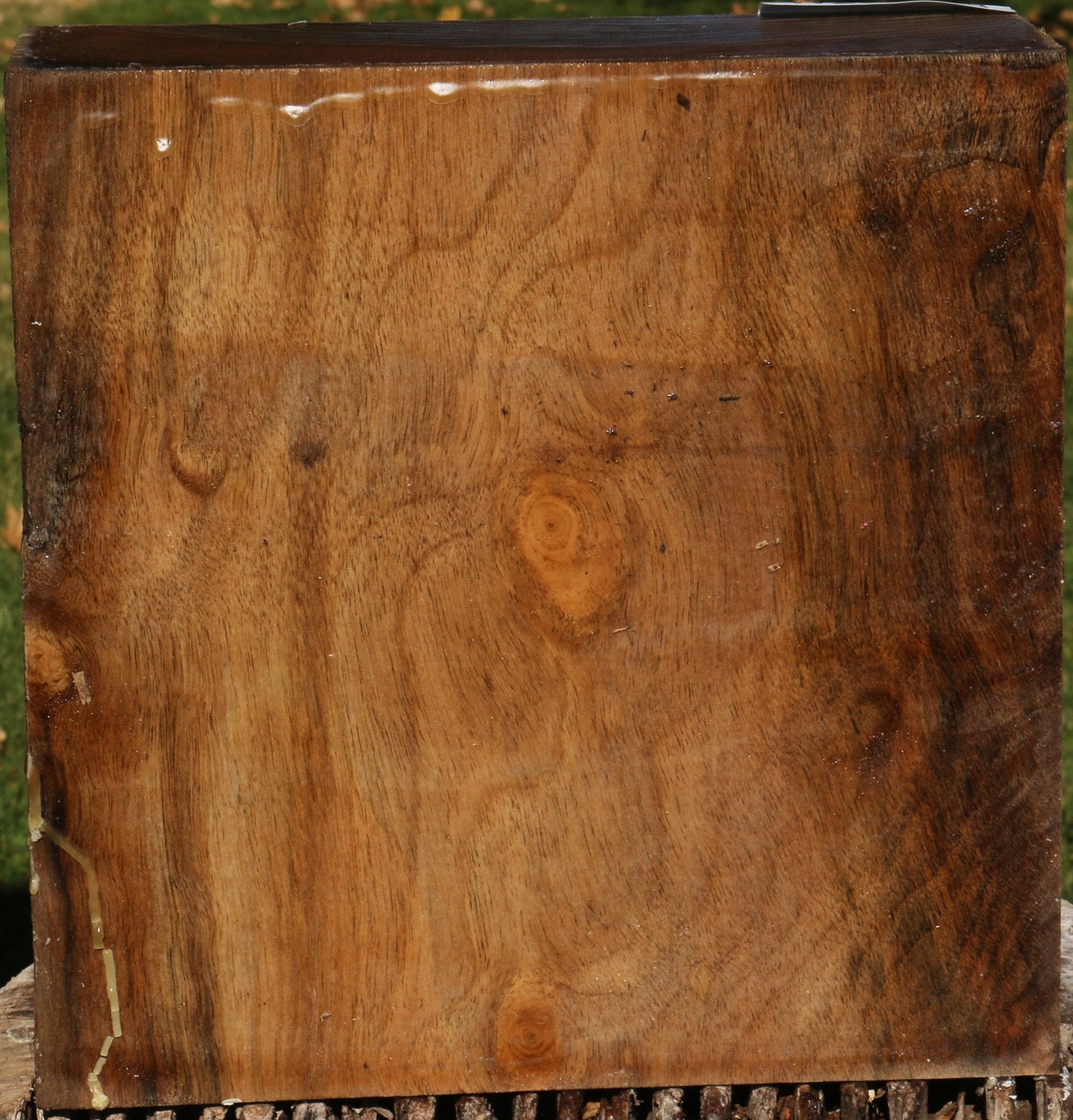 Extra Fancy English Walnut Bowl Blank