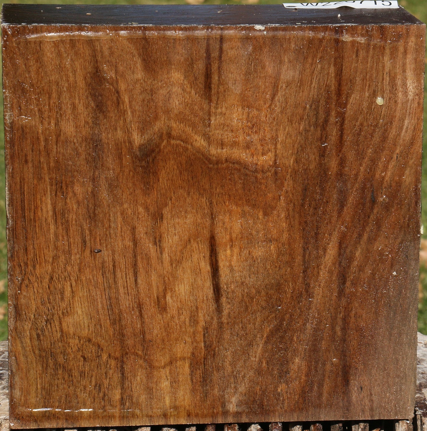 Extra Fancy English Walnut Bowl Blank