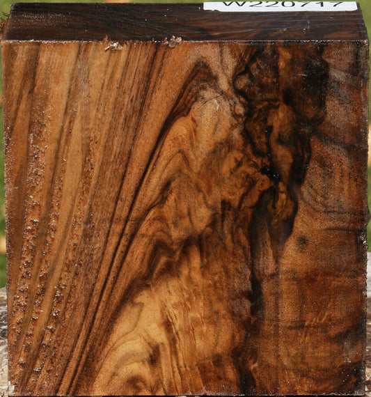 Exhibition English Walnut Bowl Blank