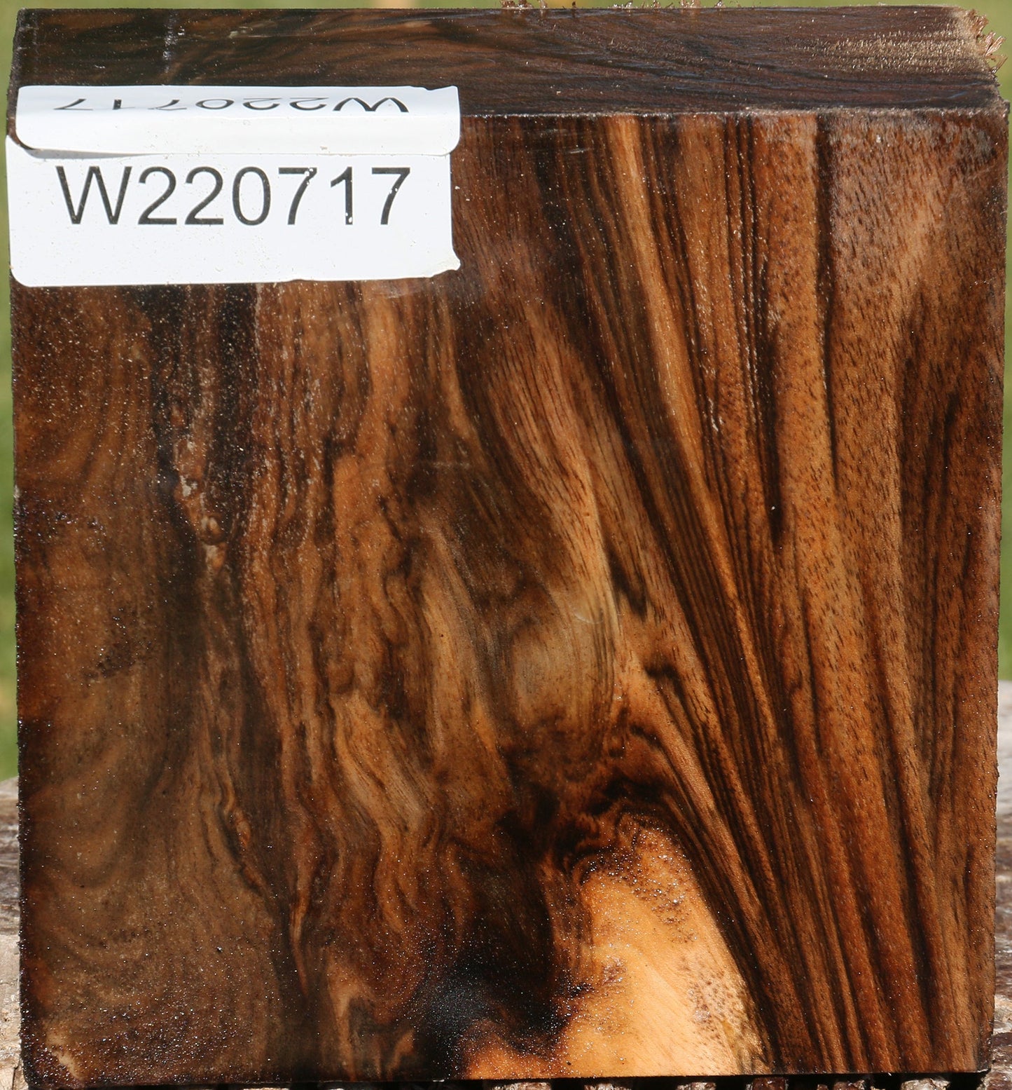 Exhibition English Walnut Bowl Blank