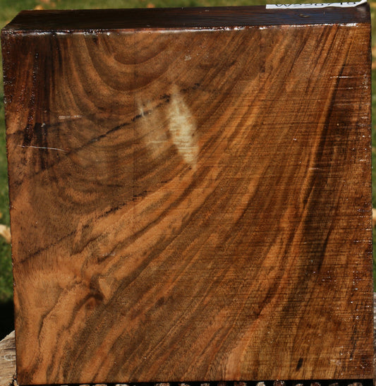 Figured English Walnut Bowl Blank