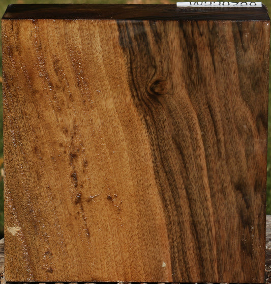 English Walnut Bowl Blank