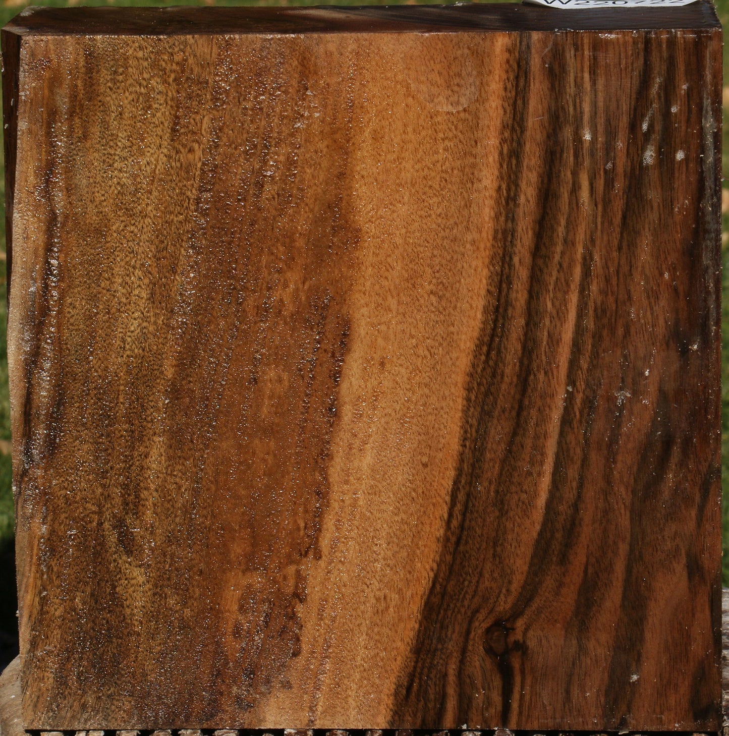 Extra Fancy English Walnut Bowl Blank