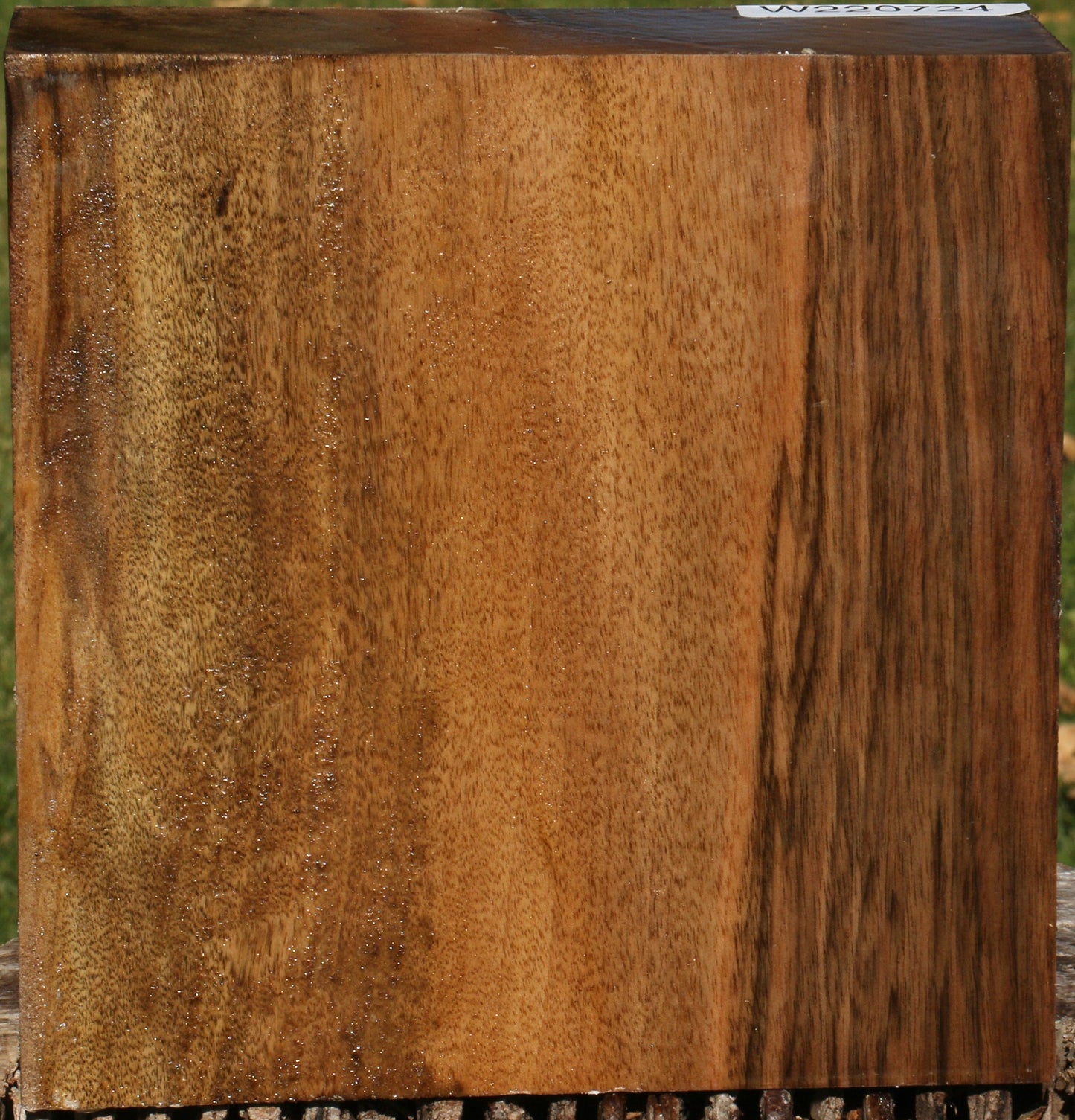 Figured English Walnut Bowl Blank