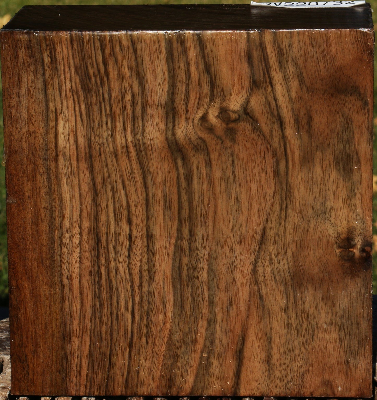 Extra Fancy English Walnut Bowl Blank