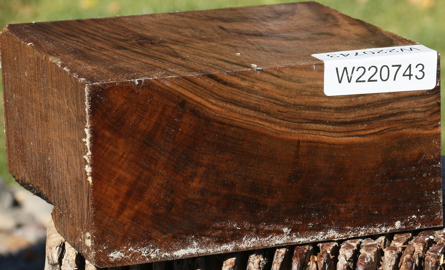 English Walnut Bowl Blank