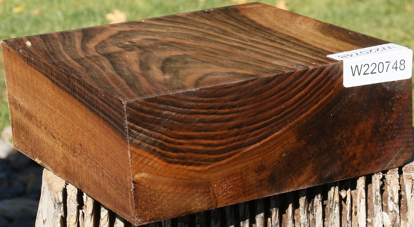 English Walnut Bowl Blank