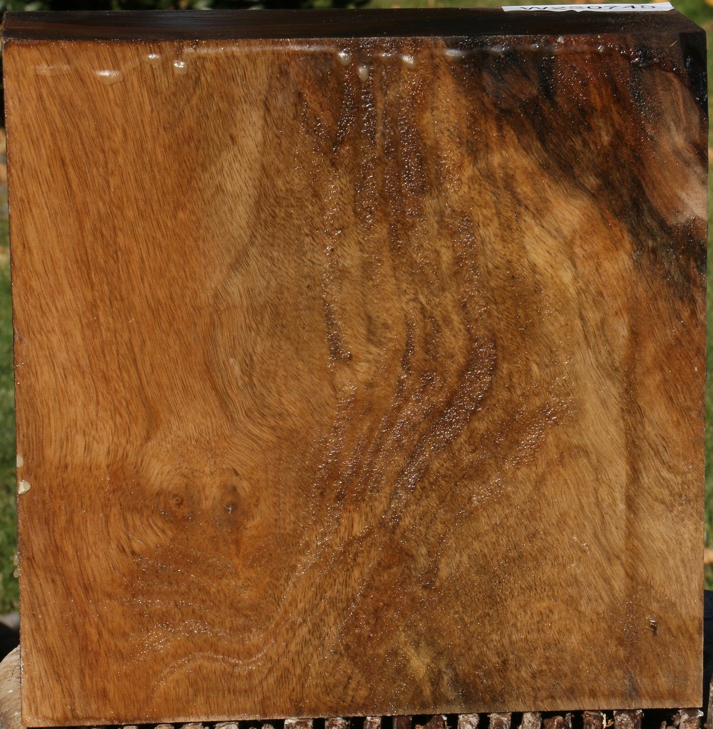 English Walnut Bowl Blank