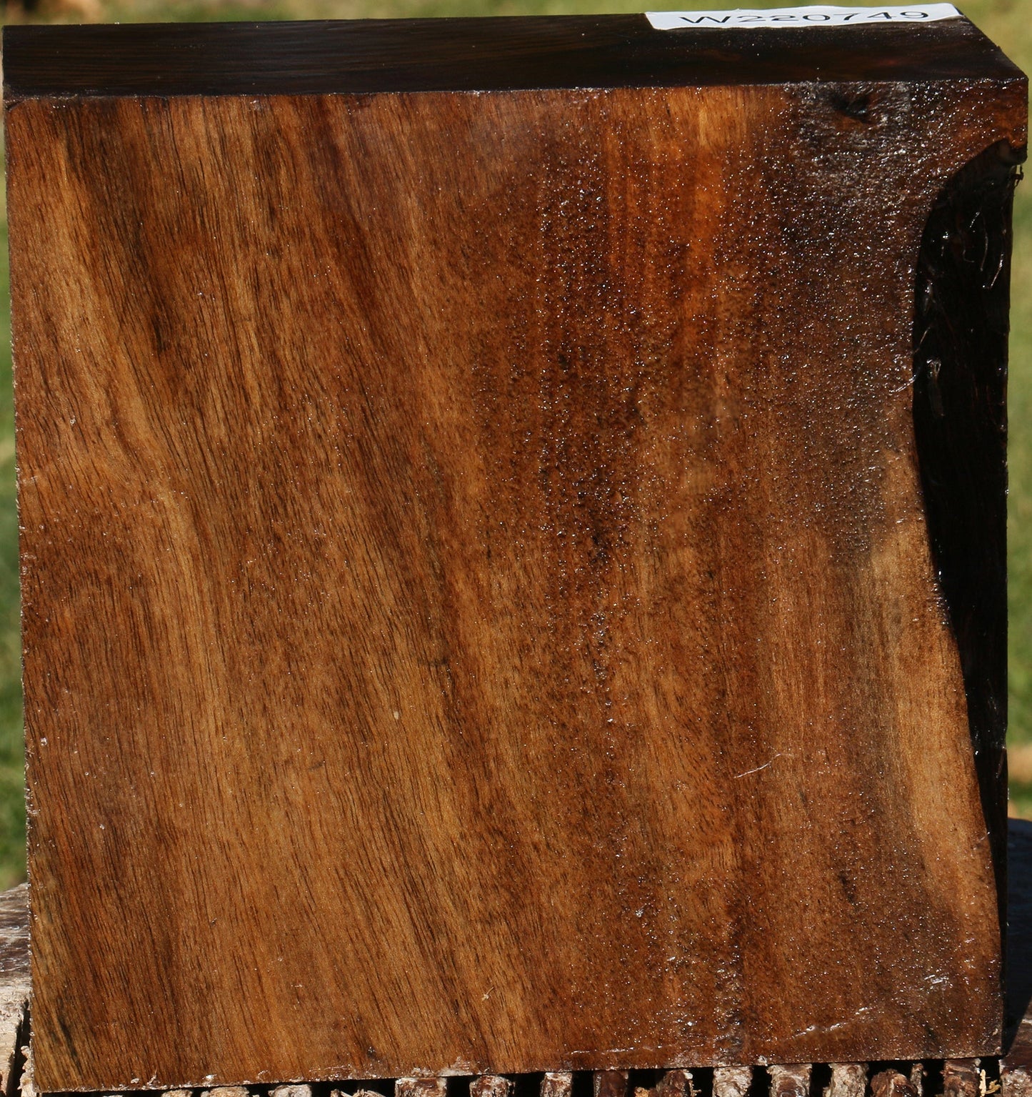 English Walnut Bowl Blank