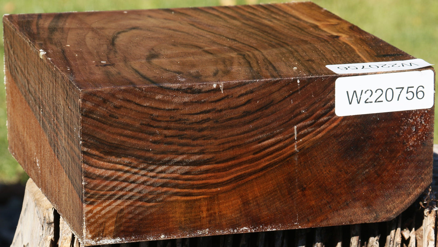 English Walnut Bowl Blank