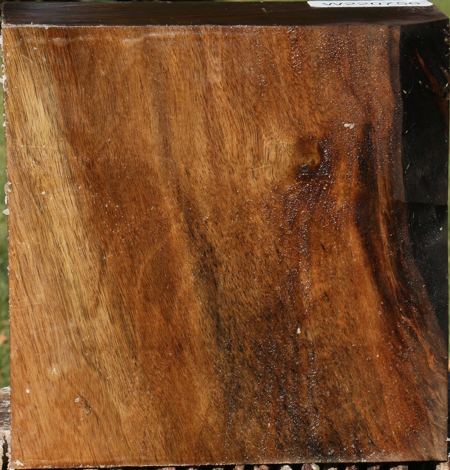 English Walnut Bowl Blank