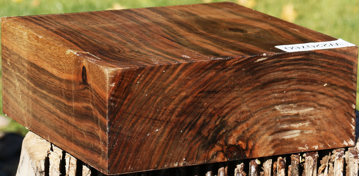 Extra Fancy English Walnut Bowl Blank