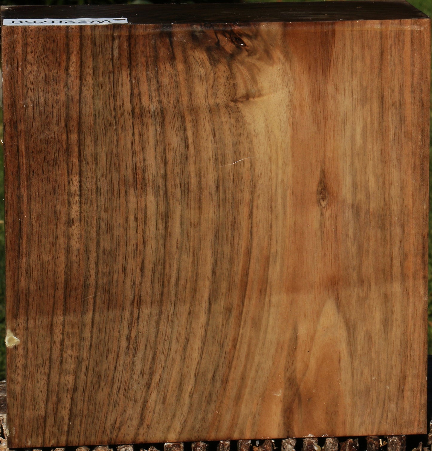 Extra Fancy English Walnut Bowl Blank