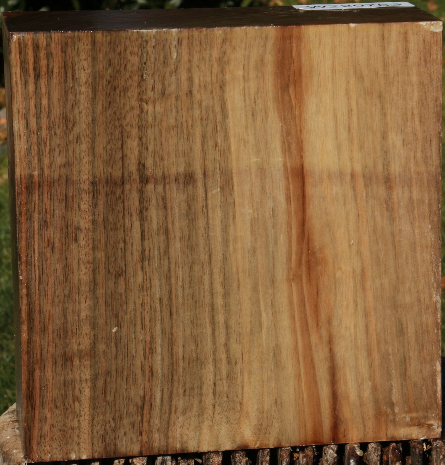 Figured English Walnut Bowl Blank