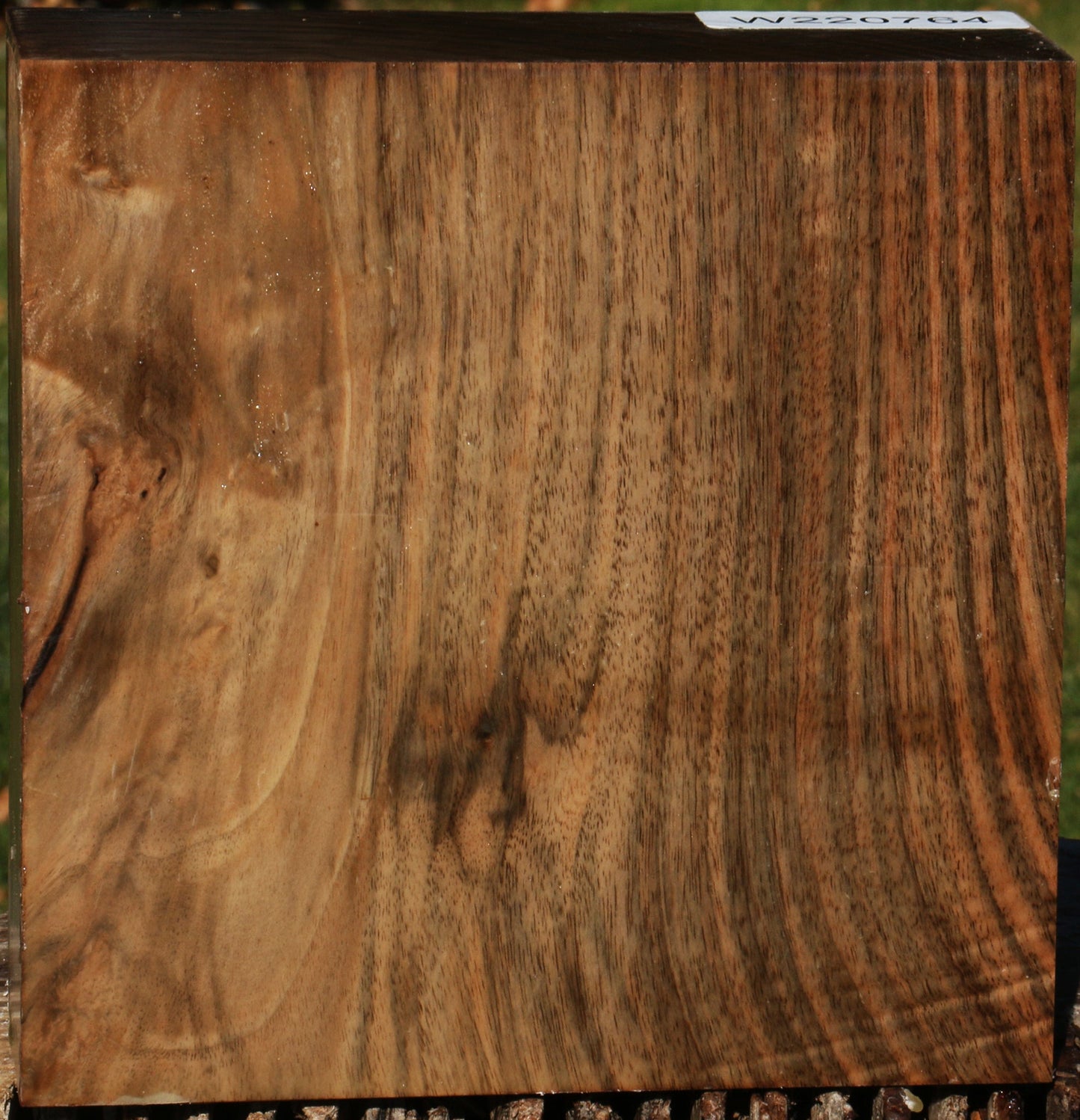 Figured English Walnut Bowl Blank