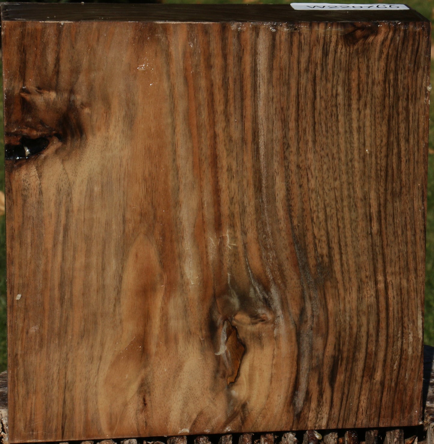 Figured English Walnut Bowl Blank