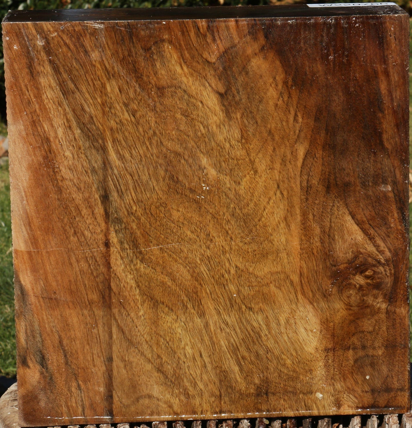 Figured English Walnut Bowl Blank