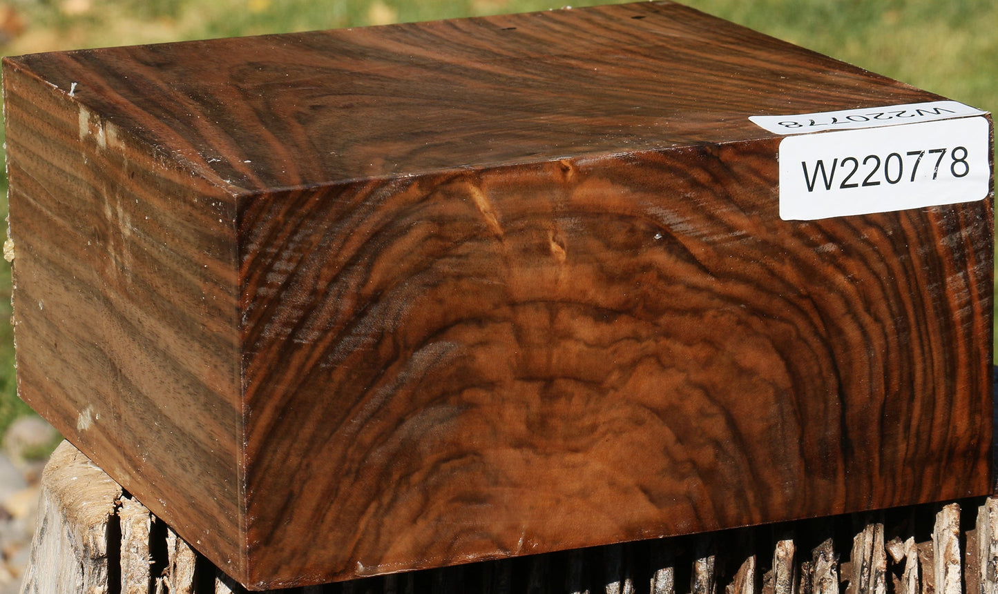 Extra Fancy English Walnut Bowl Blank