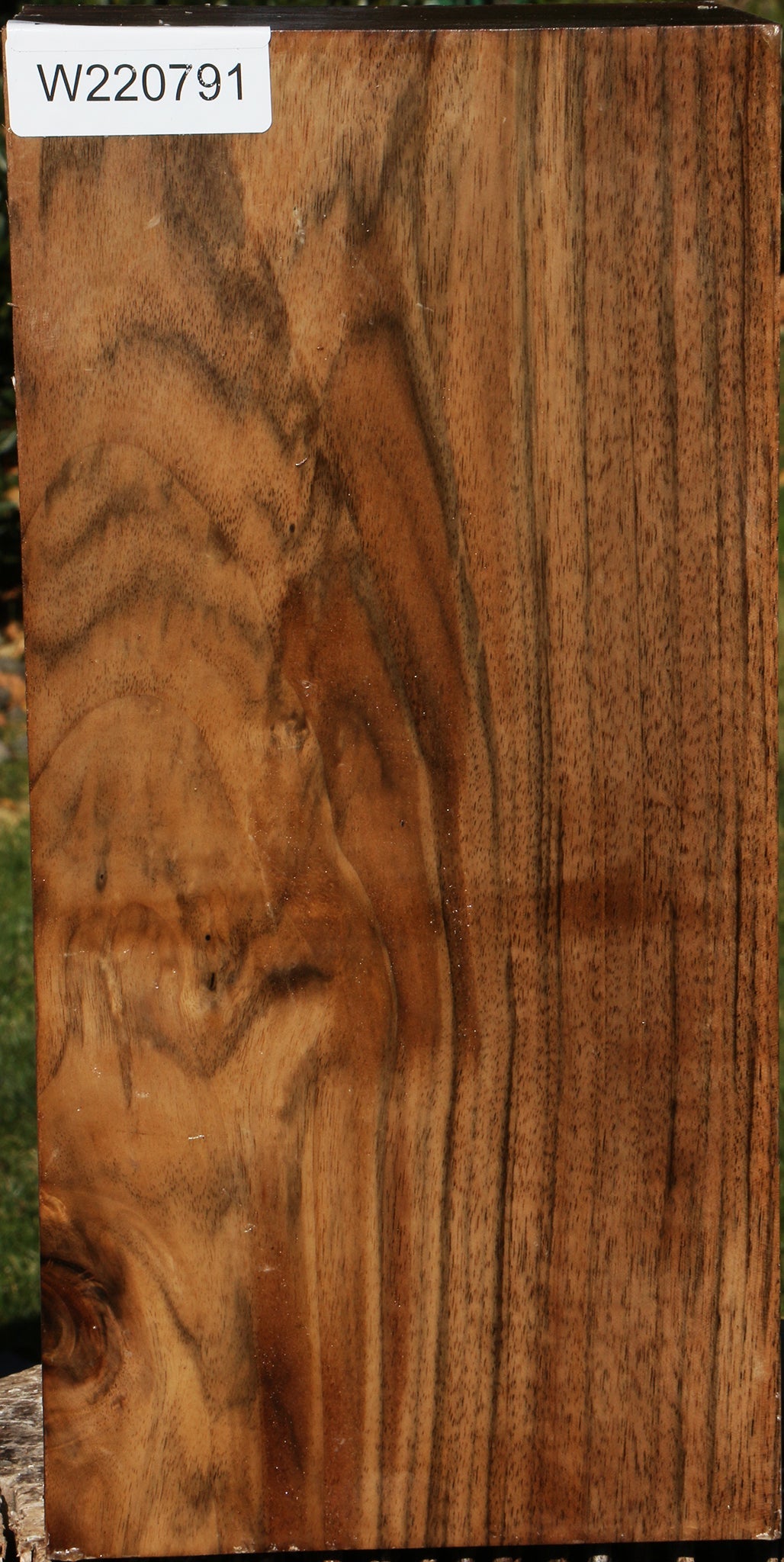 Extra Fancy English Walnut Vessel Blank