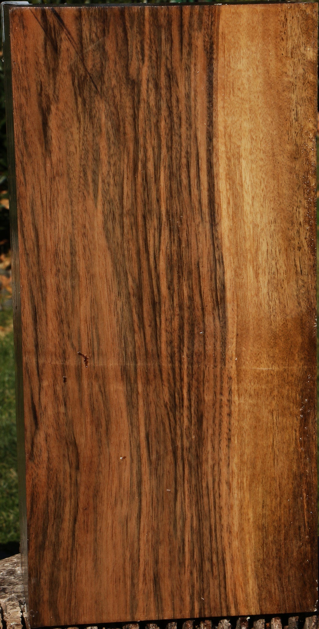 Extra Fancy English Walnut Vessel Blank