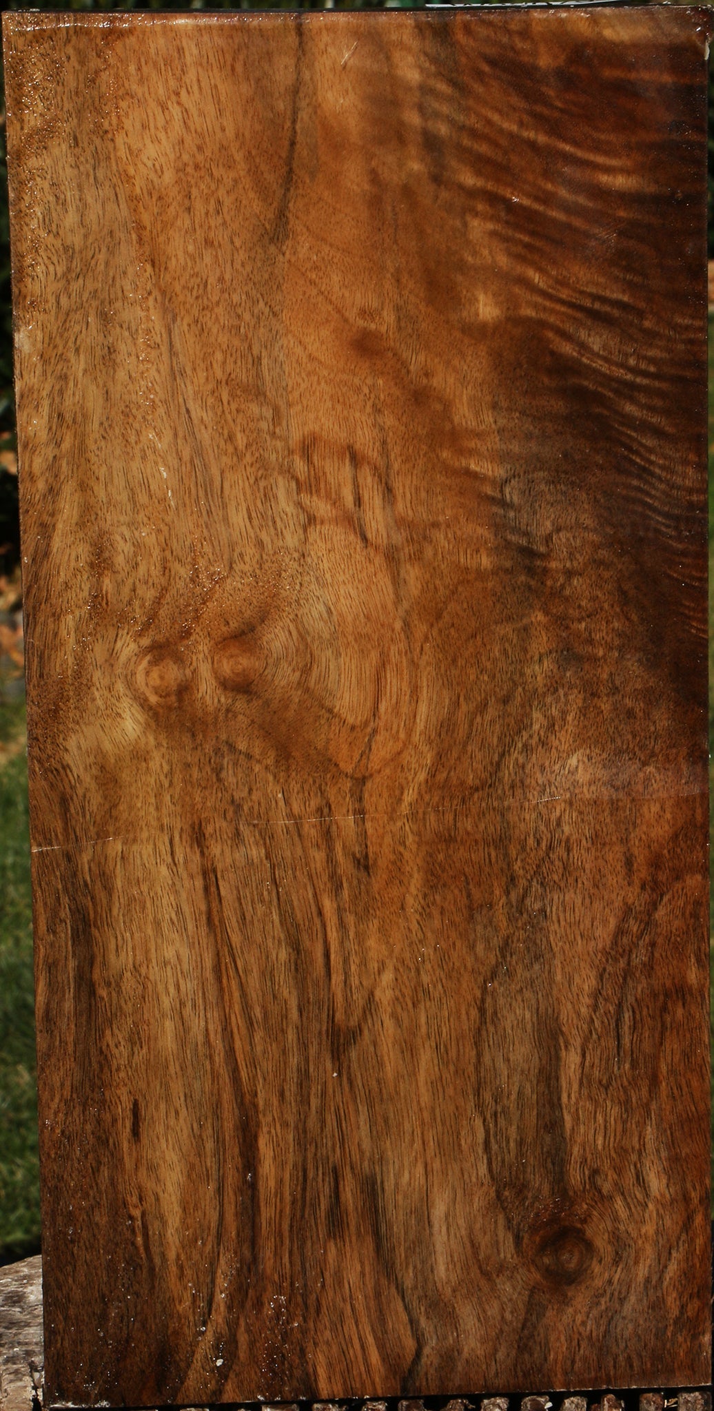 Extra Fancy English Walnut Vessel Blank