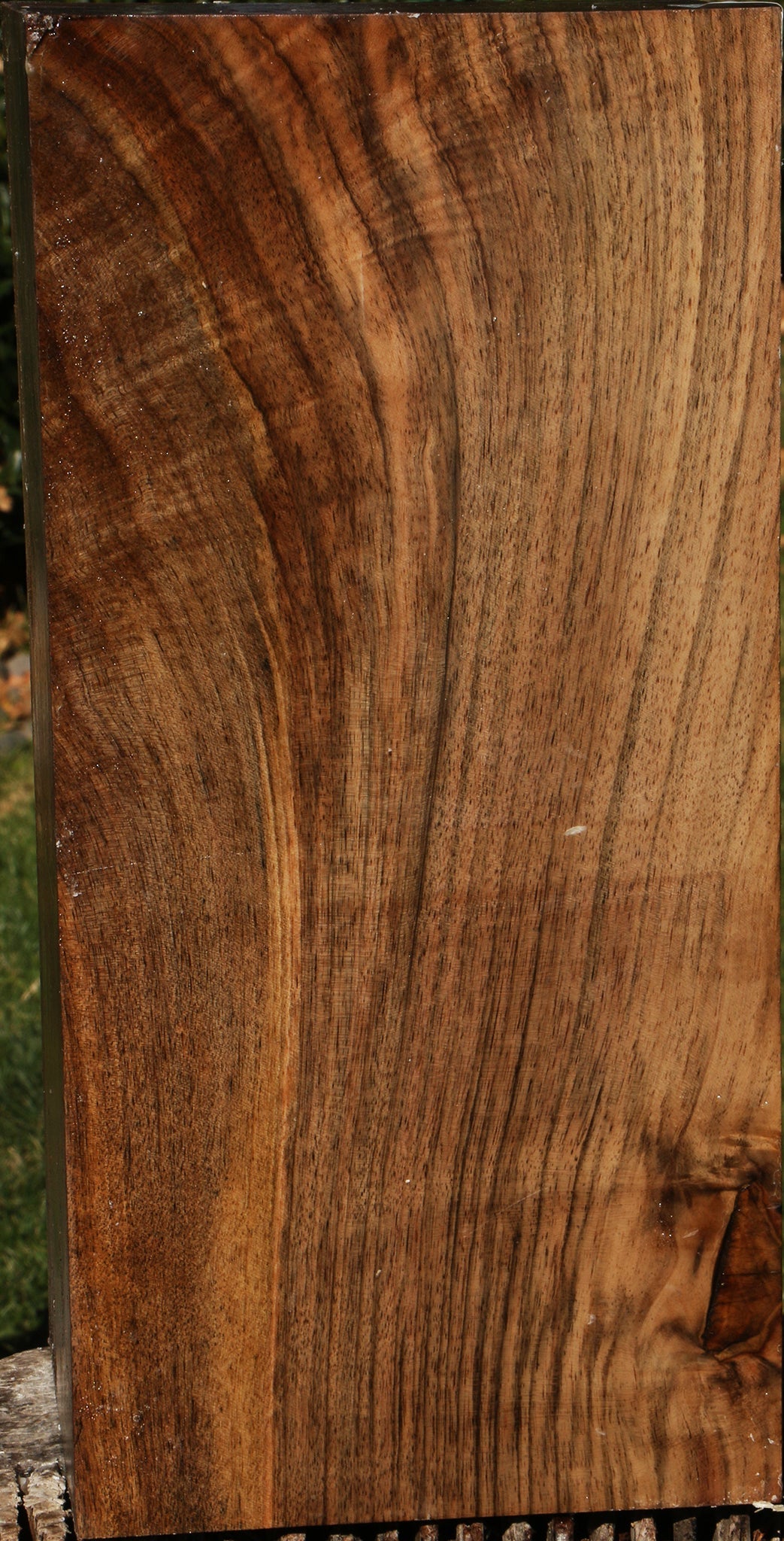 Extra Fancy English Walnut Vessel Blank