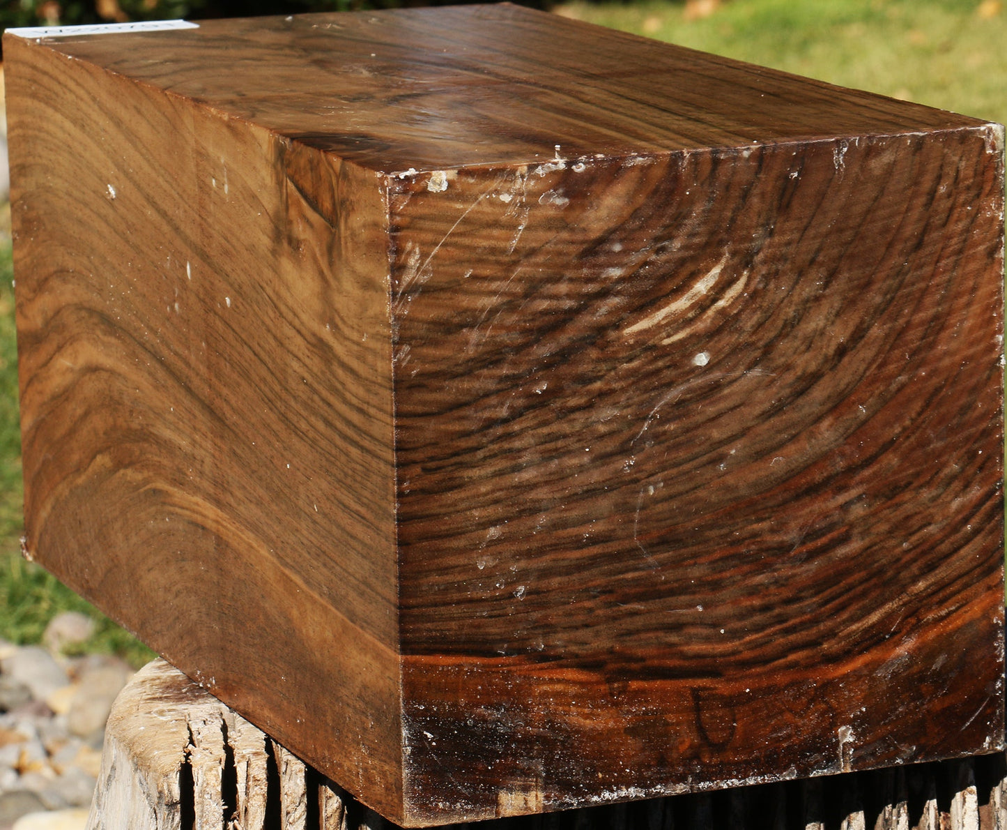 Extra Fancy English Walnut Vessel Blank