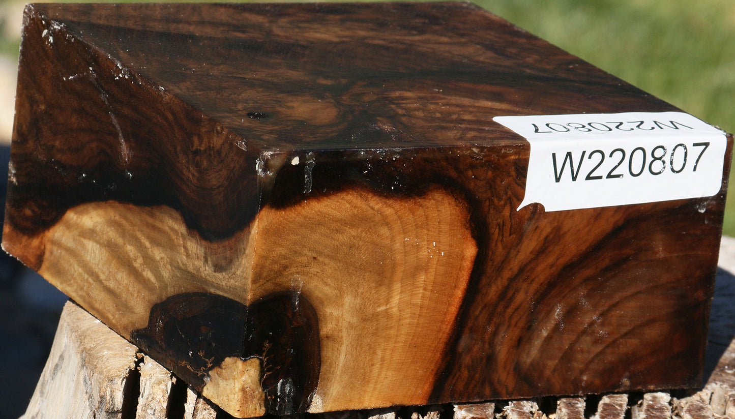 Exhibition English Walnut Bowl Blank