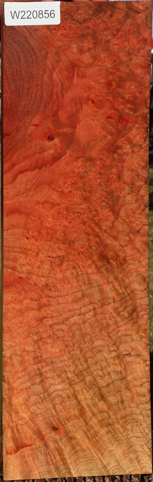 Madrone Burl Instrument Lumber