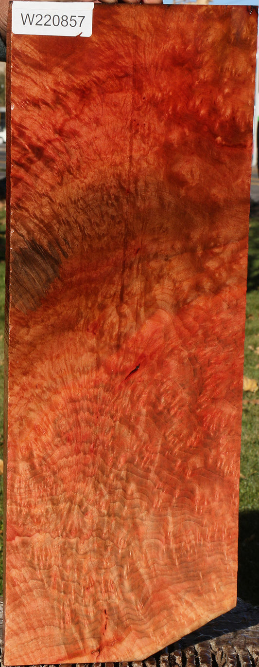 Madrone Burl Lumber