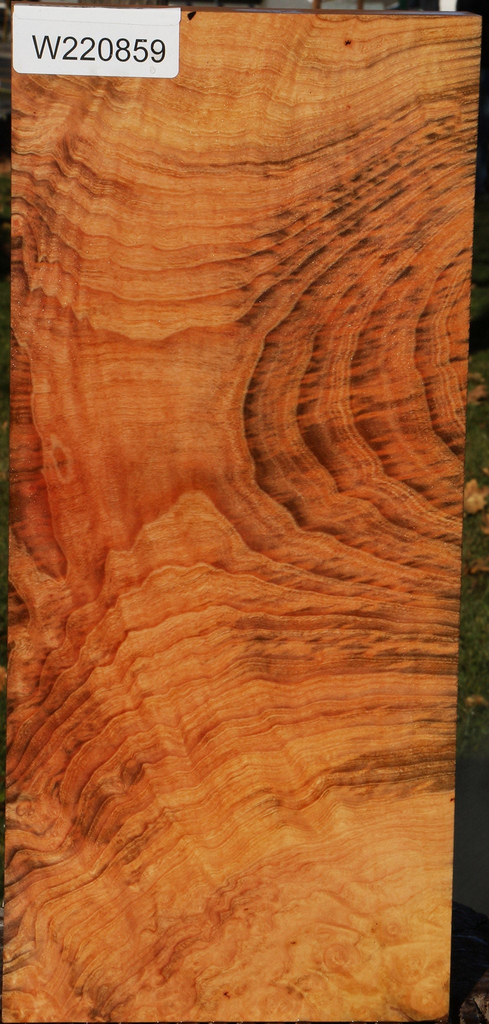 Madrone Burl Instrument Lumber