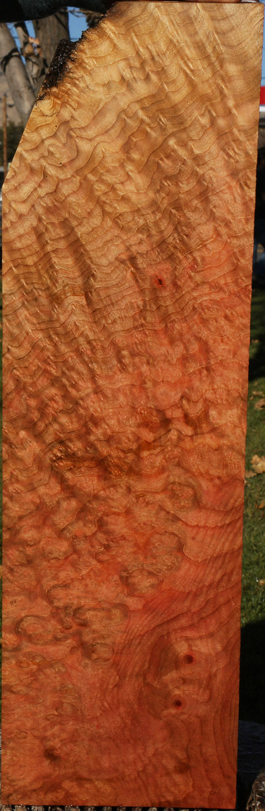 Madrone Burl Instrument Lumber