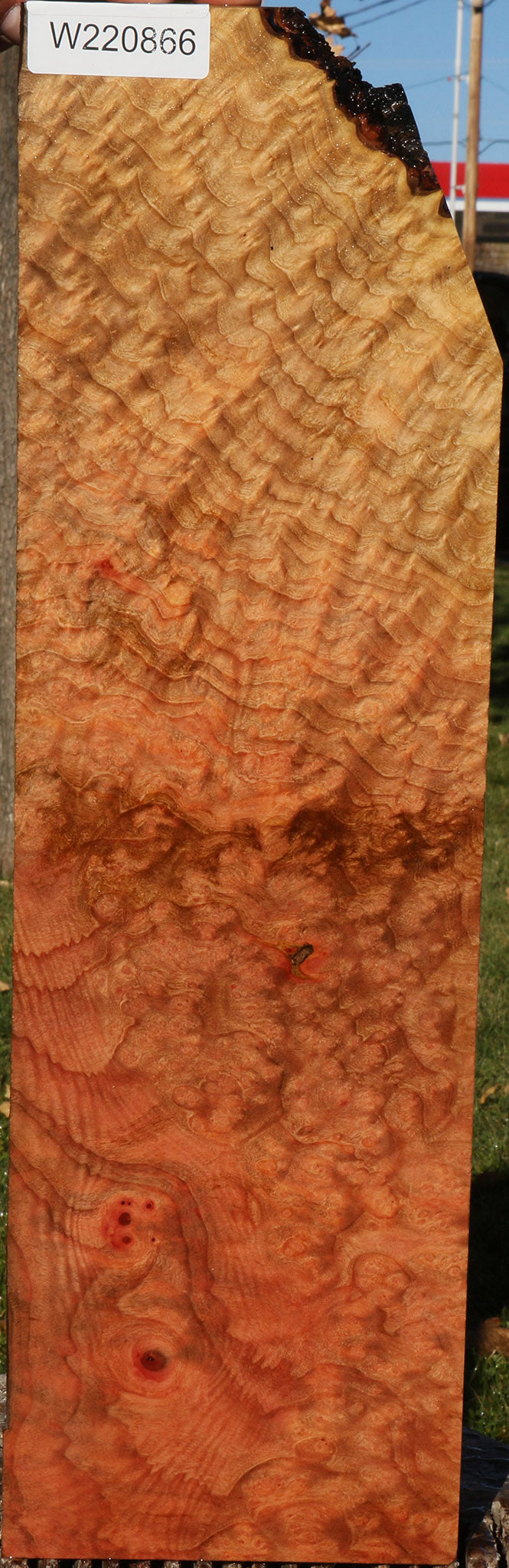 Madrone Burl Instrument Lumber