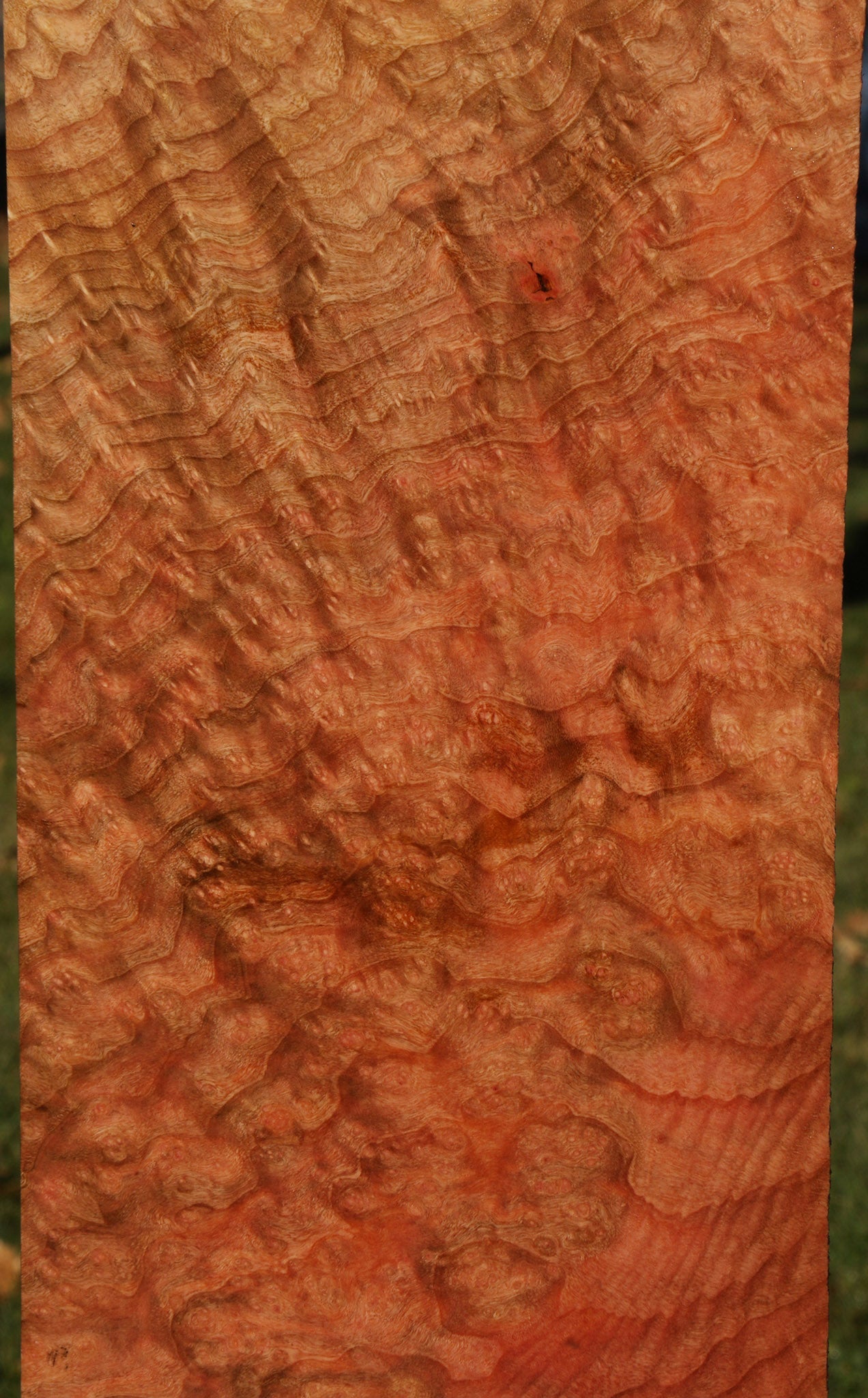 Madrone Burl Instrument Lumber