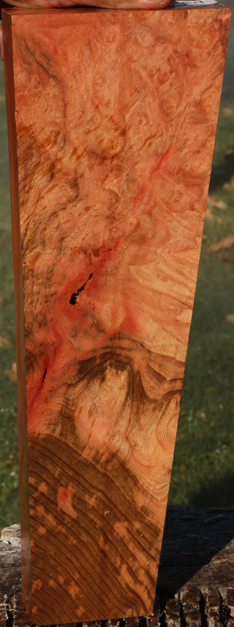 Madrone Burl Lumber