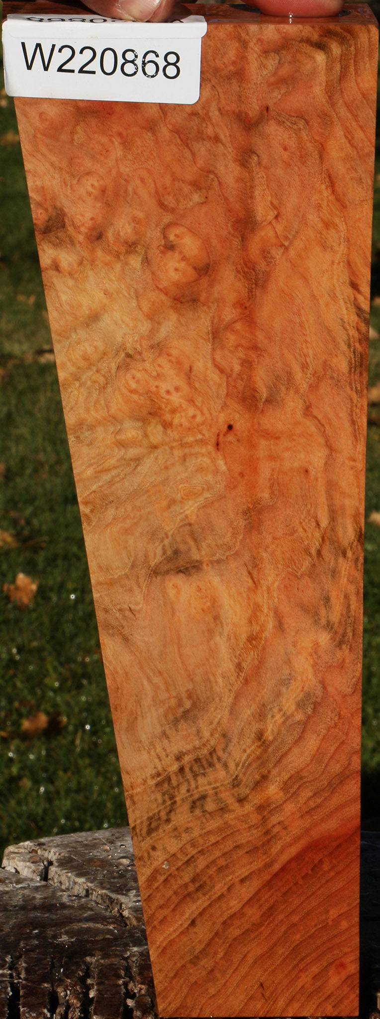 Madrone Burl Lumber