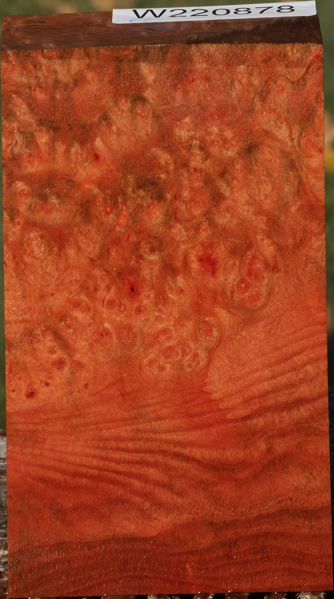 Madrone Burl Lumber