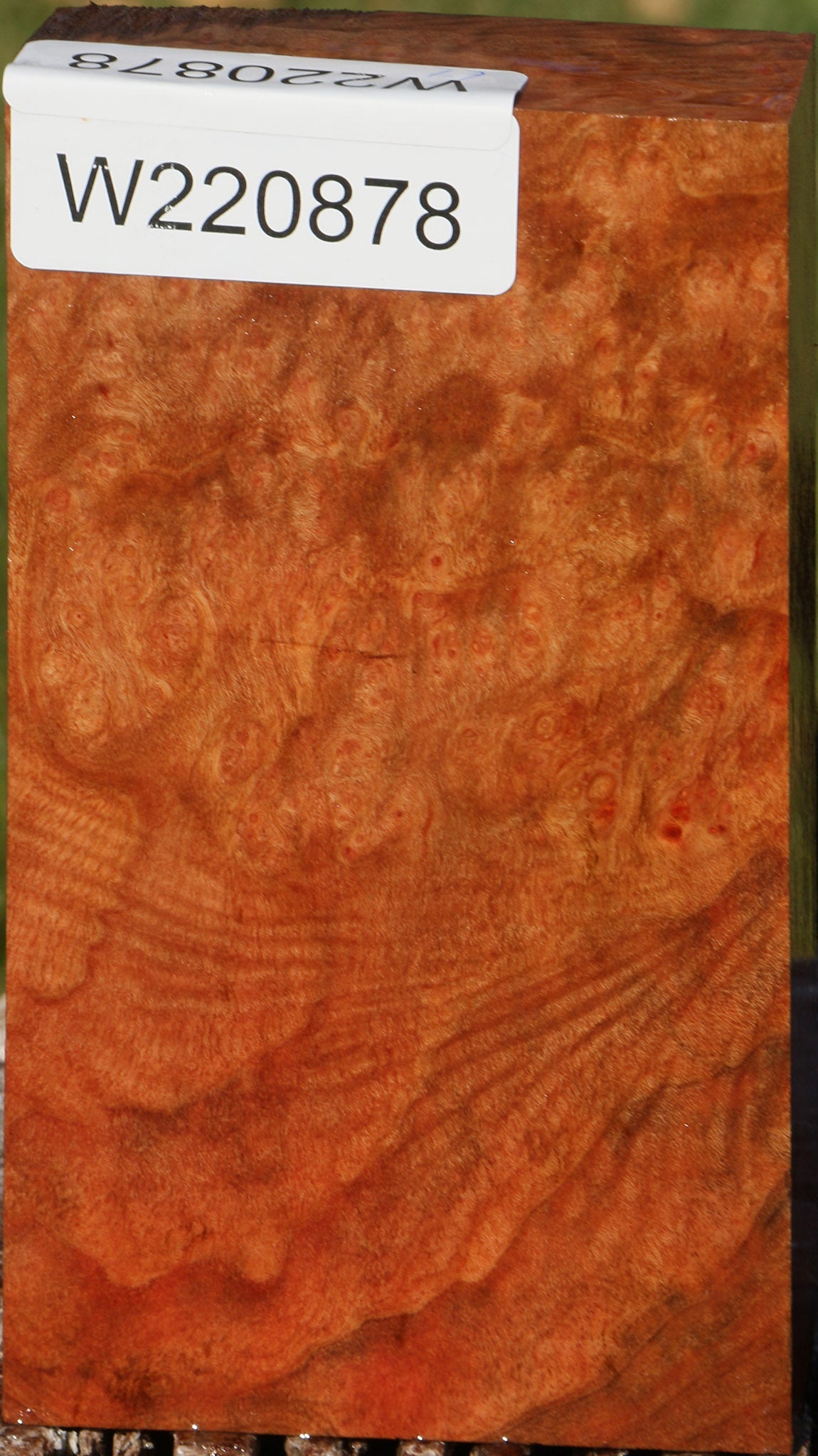 Madrone Burl Lumber