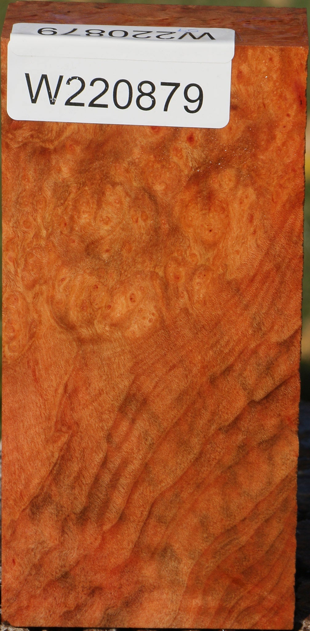 Madrone Burl Lumber