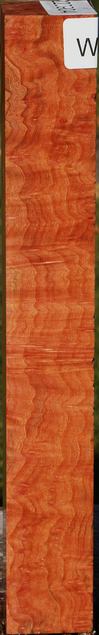 Madrone Burl Turning Square