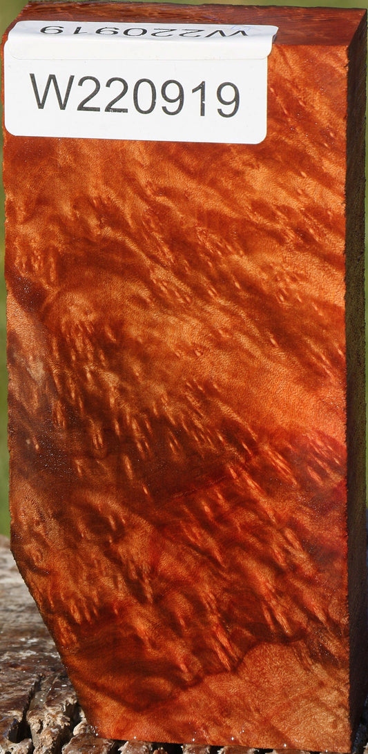 Madrone Burl Lumber