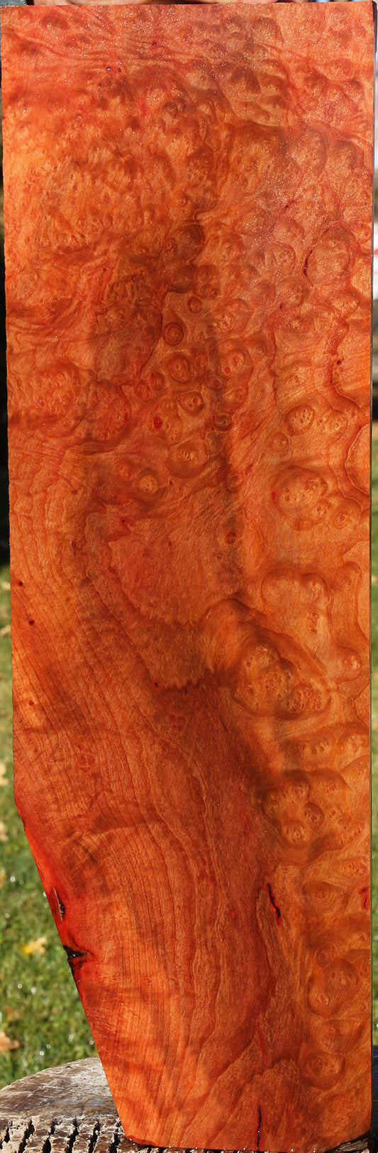 Madrone Burl Lumber