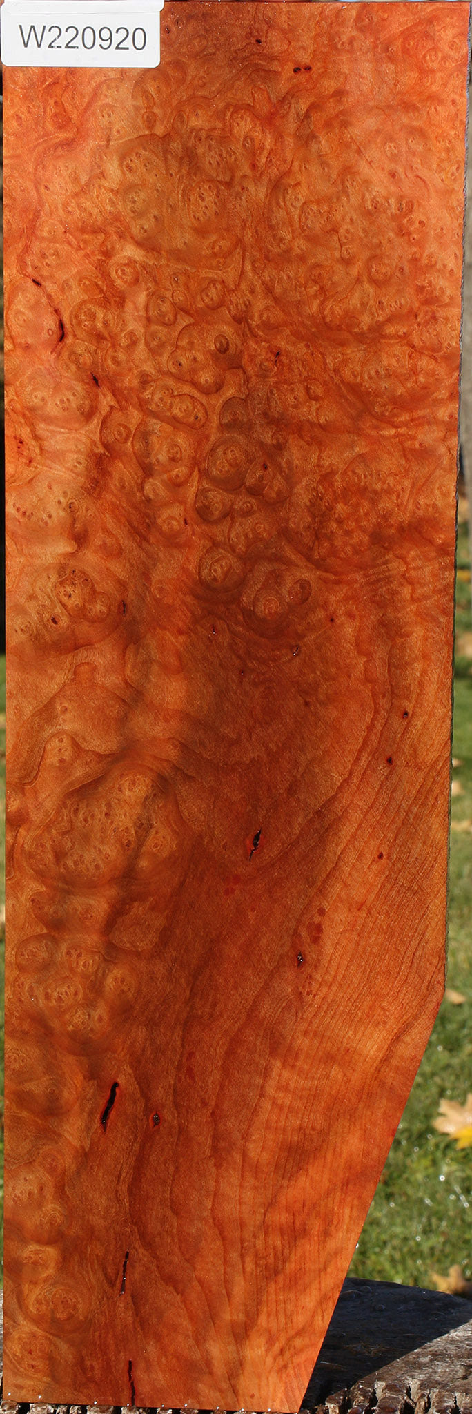 Madrone Burl Lumber