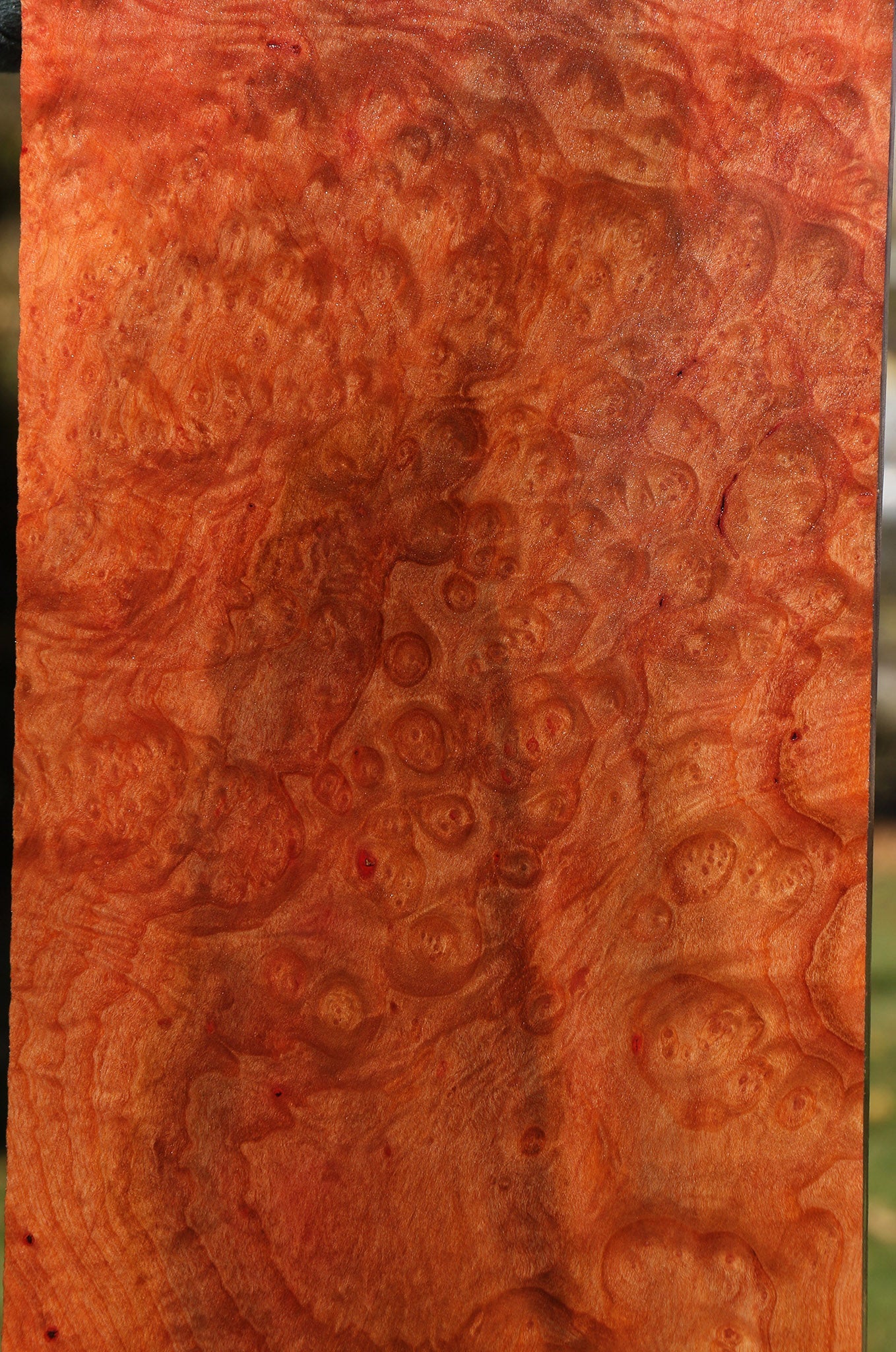 Madrone Burl Lumber