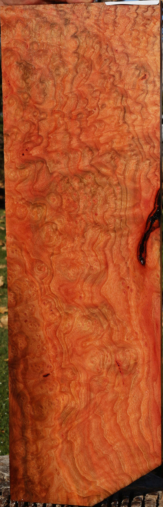 Madrone Burl Micro Lumber