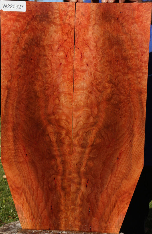 Madrone Burl Bookmatched Micro Lumber