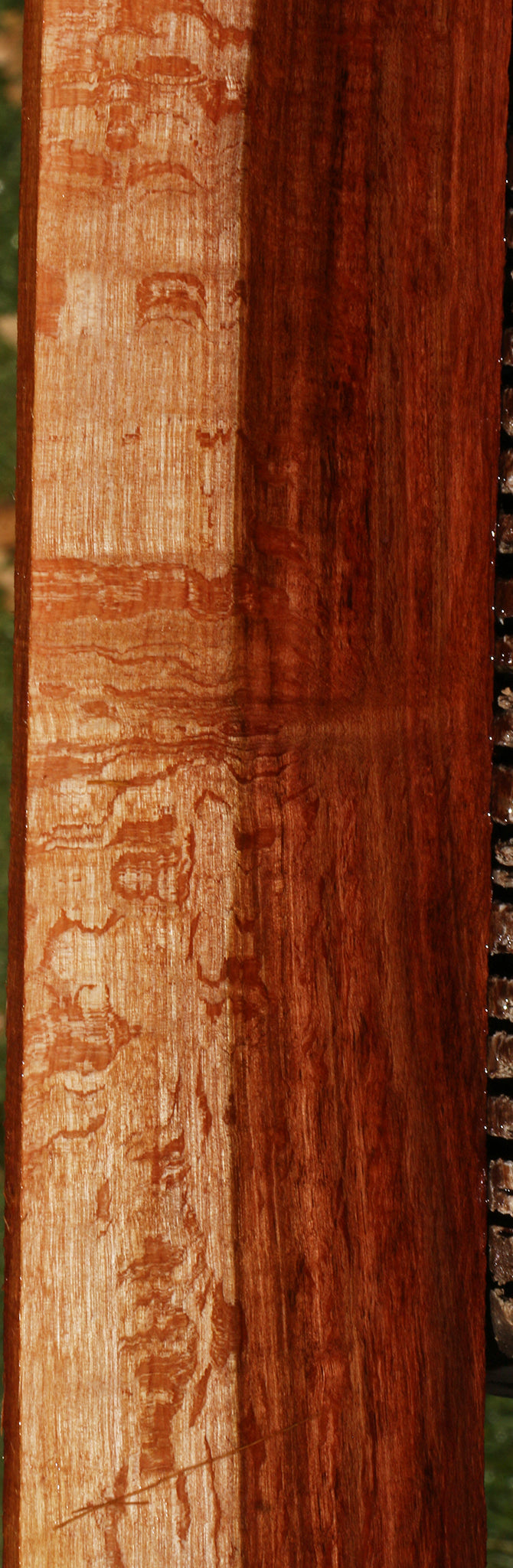 Beefwood Micro Lumber